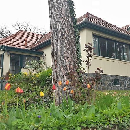 Edit Villa Matrafured Dış mekan fotoğraf